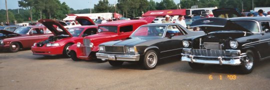 jackson_my_elky.jpg (28502 bytes)