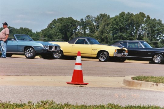 memphis_yellow_elky.jpg (45451 bytes)